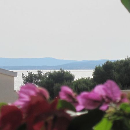 Apartments Villa Violet Zadar Zewnętrze zdjęcie